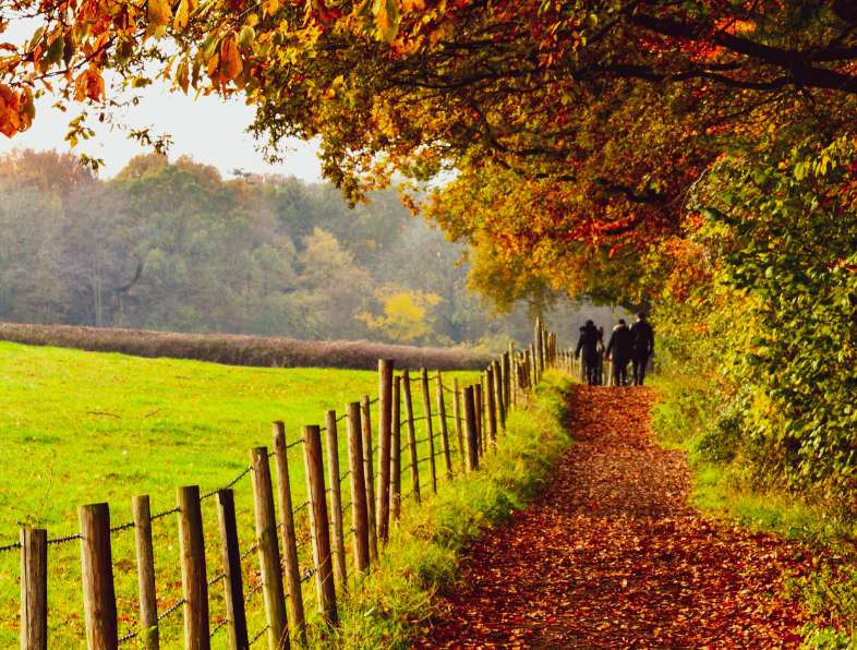 greatlittlebreaks best autumn walks in the uk blog